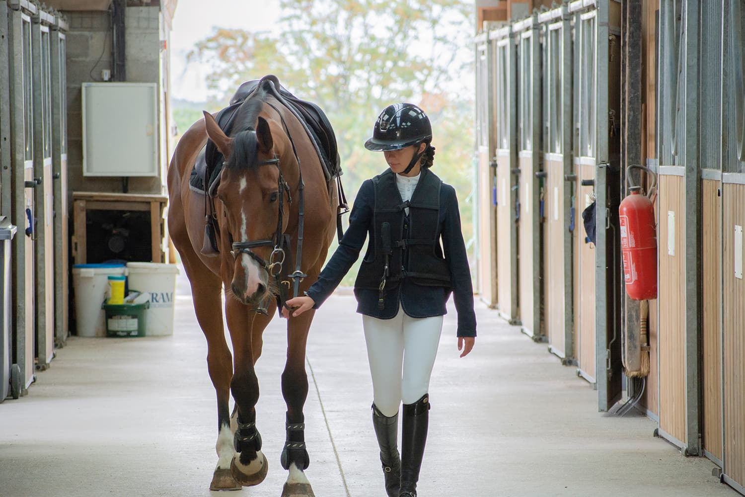 Airjacket Airbag Equestrian